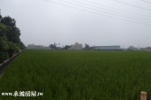 售彰化縣芬園鄉護岸街田地(1)農地1,270萬