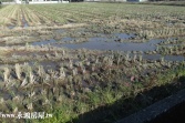 售南投縣草屯鎮豐城中正路農地農地4,990萬