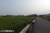 售南投縣草屯鎮敦和路旁農地農地2,445萬